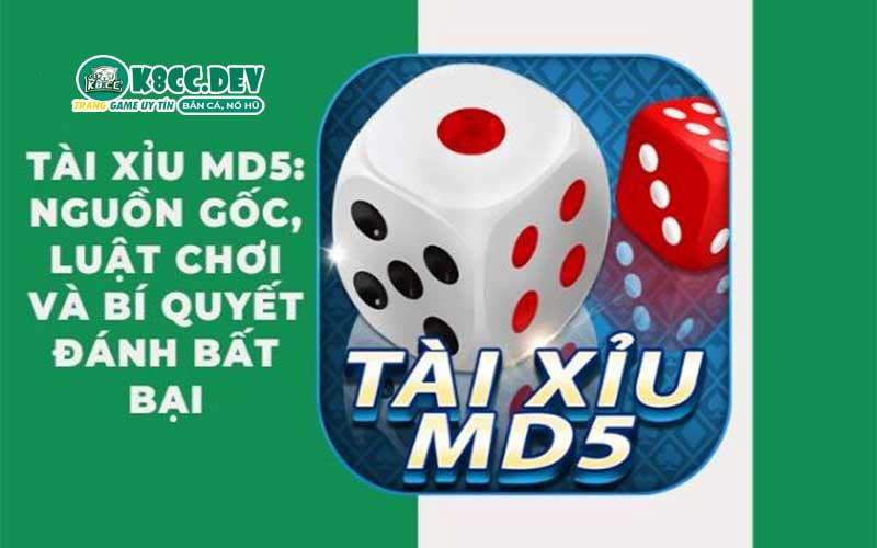 Cách chơi và luật chơi tài xỉu MD5