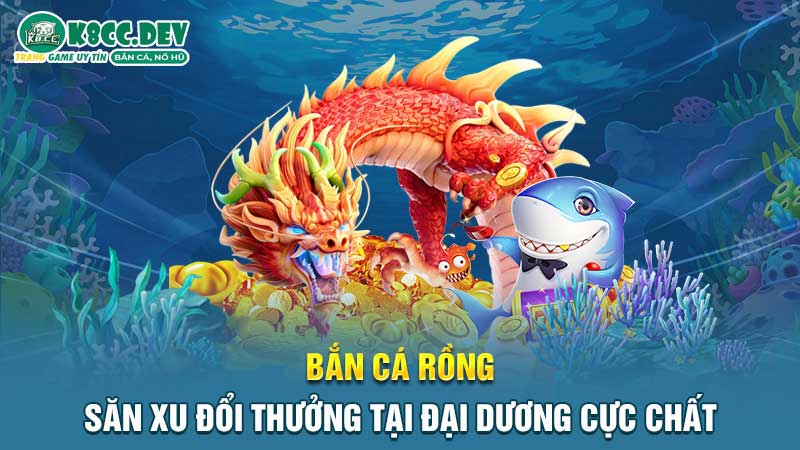 Kinh nghiệm săn cá rồng